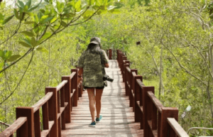 An ecotourist walking on a wooden bridge with a camera