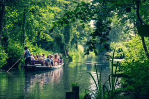 Tourists engaged in a nature-based activity in a boat
