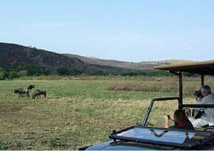 Tourists on safari in Kapama Game Reserve, South Africa