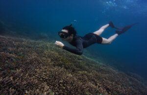 One of the popular ecotourism activities is snorkeling in the reefs