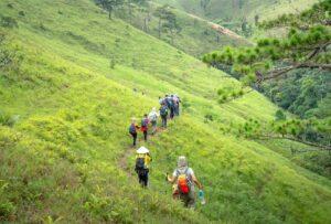 A group of trekkers in a lush green terrain 