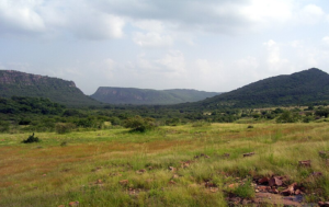 Huge terrain of National Park Ranthambore with greenery, hillocks 