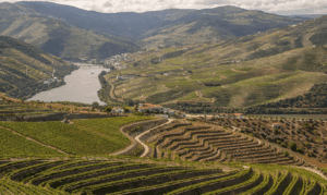A scenic view of terraced vineyards on rolling hills beside a winding river, with a small town and bridge in the background—an ideal spot for those seeking eco-friendly travel destinations.